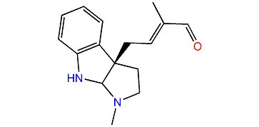 Pseudophrynamine 256